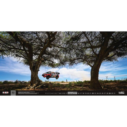 Le calendrier mural Wider View McKlein 2026