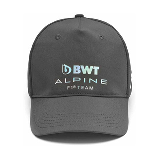 Casquette de baseball Team Grey Alpine F1