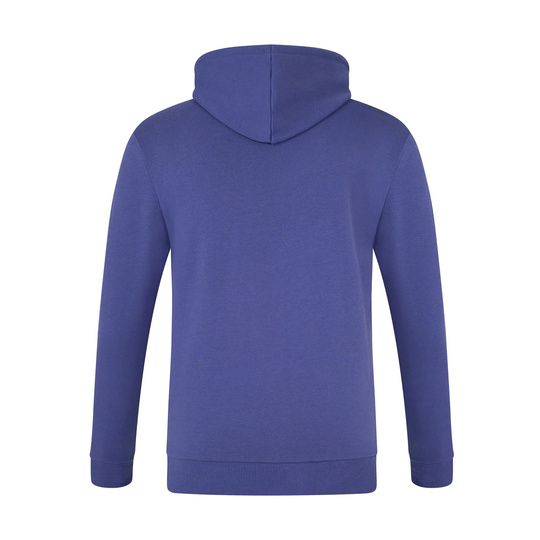 Sweat a capuche Logo Red Bull Racing 2025 bleu